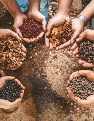 A diverse group of people holding hands, surrounded by various seeds, symbolizing unity and nature