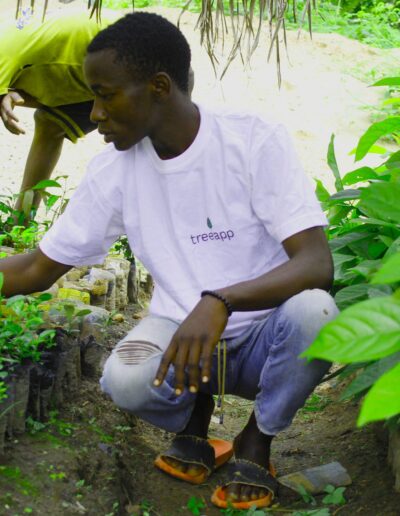 A man is sitting and organising the small plants