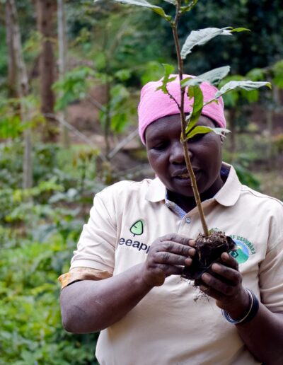 A woman holding a small plant in the middle of the jungle