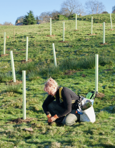 A woman picking plants from the ground