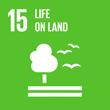 UN-Section UN Sustainable Development Goals supported